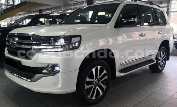 Buy Used Toyota Land Cruiser White Car in Kampala in Uganda Buy Used Toyota Land Cruiser White Car in Kampala in Uganda