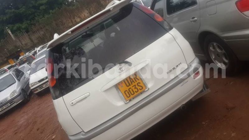 Big with watermark 14324596 10209113455147535 4826326470268354662 o