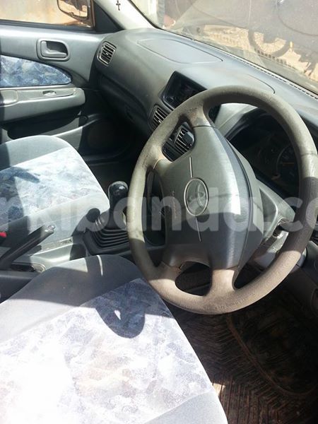 Big with watermark 14344360 195243170887525 1476089703380270021 n