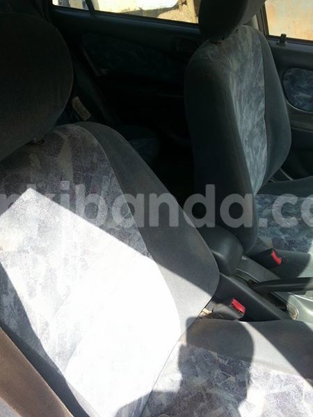 Big with watermark 14355616 1652943051684902 3641046762615807478 n