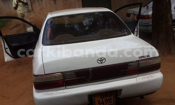 Acheter Occasion Voiture Toyota Corolla Blanc à Kampala, Ouganda Acheter Occasion Voiture Toyota Corolla Blanc à Kampala, Ouganda