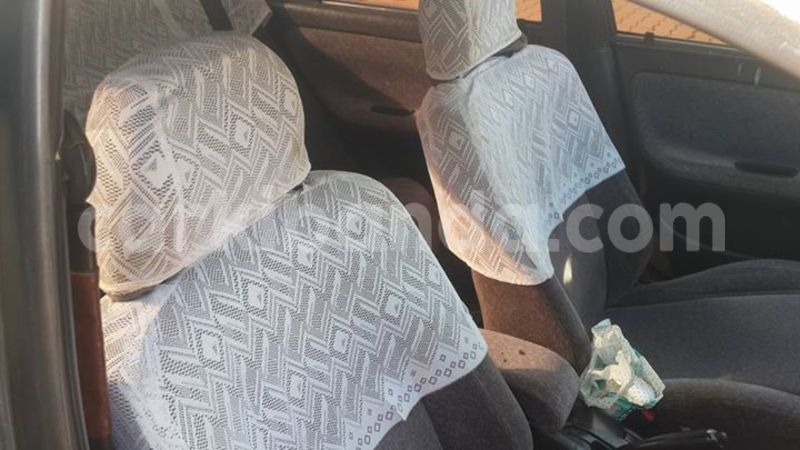 Big with watermark 14344360 195243170887525 1476089703380270021 n