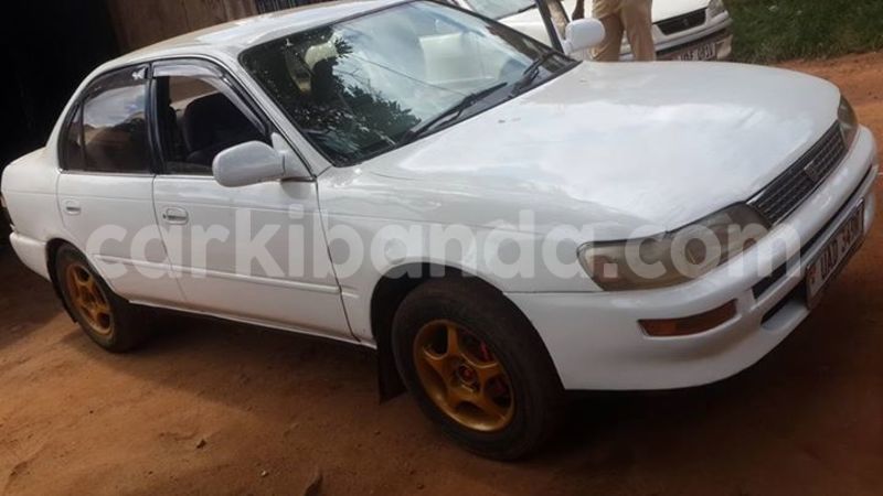 Big with watermark 14322753 152041765249206 4084601271133145777 n