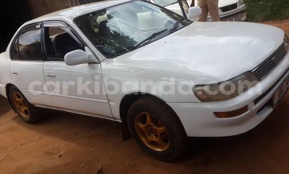 Acheter Occasion Voiture Toyota Corolla Blanc à Kampala, Ouganda Acheter Occasion Voiture Toyota Corolla Blanc à Kampala, Ouganda