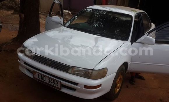 Acheter Occasion Voiture Toyota Corolla Blanc à Kampala, Ouganda Acheter Occasion Voiture Toyota Corolla Blanc à Kampala, Ouganda