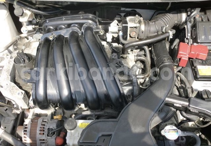 Big with watermark img 0112