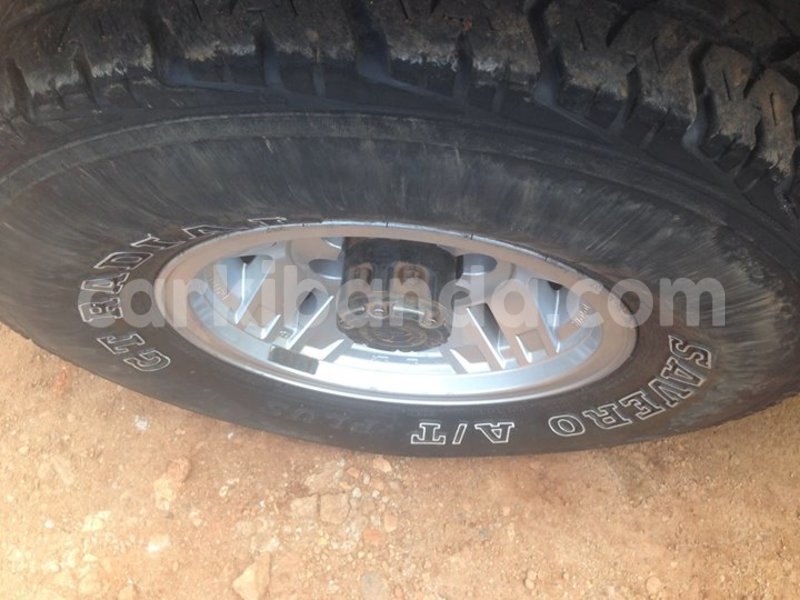 Big with watermark 14695326 1276538865723864 3907257530309395993 n