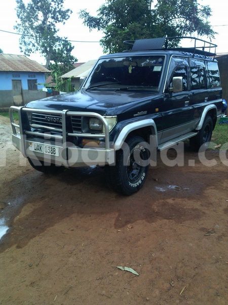 Big with watermark 14937420 10210899464142563 5142262507148257599 n