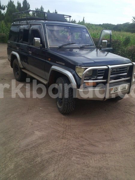 Big with watermark 14572839 1276538899057194 7605807282165903254 n