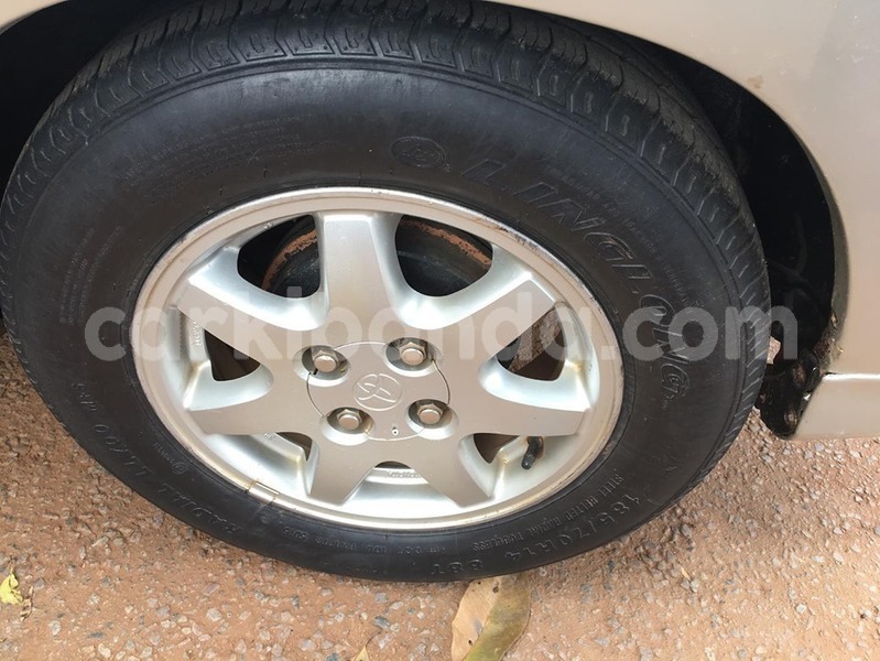 Big with watermark 71108541 1432743290207072 4172912073568681984 n