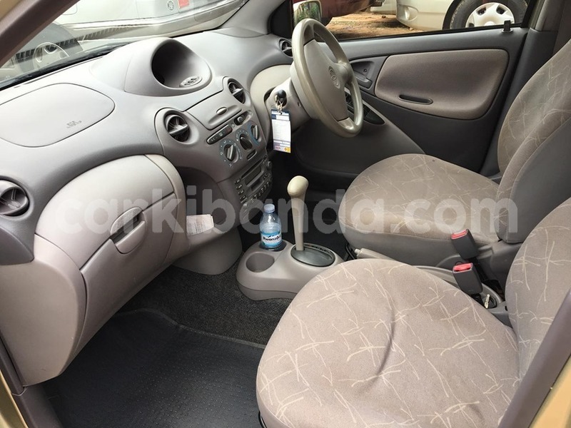 Big with watermark 71146372 1425469674267767 1157628909022347264 n