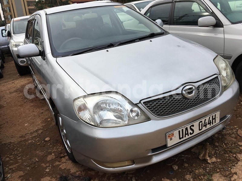 Big with watermark 70982830 1425468460934555 5838168080747855872 n