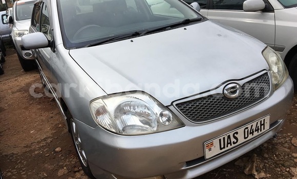 Acheter Occasion Voiture Toyota Allex Gris à Kampala, Ouganda Acheter Occasion Voiture Toyota Allex Gris à Kampala, Ouganda