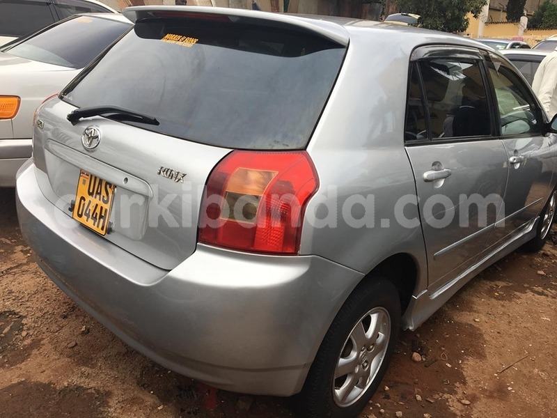 Big with watermark 71023385 1425468534267881 2506710885821579264 n