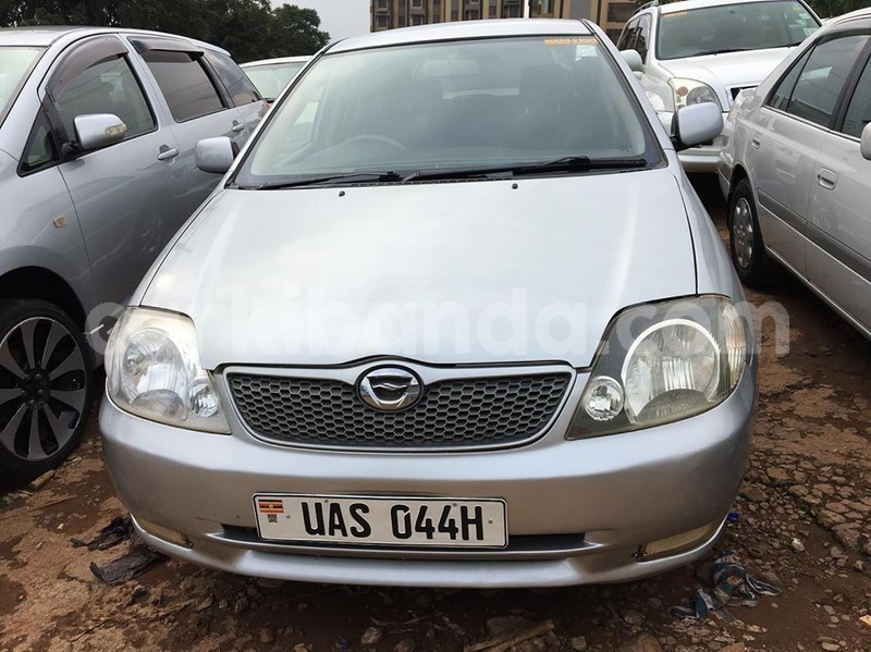 Big with watermark 70765918 1425468407601227 6534714589639081984 n