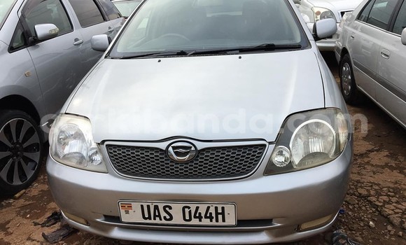 Acheter Occasion Voiture Toyota Allex Gris à Kampala, Ouganda Acheter Occasion Voiture Toyota Allex Gris à Kampala, Ouganda