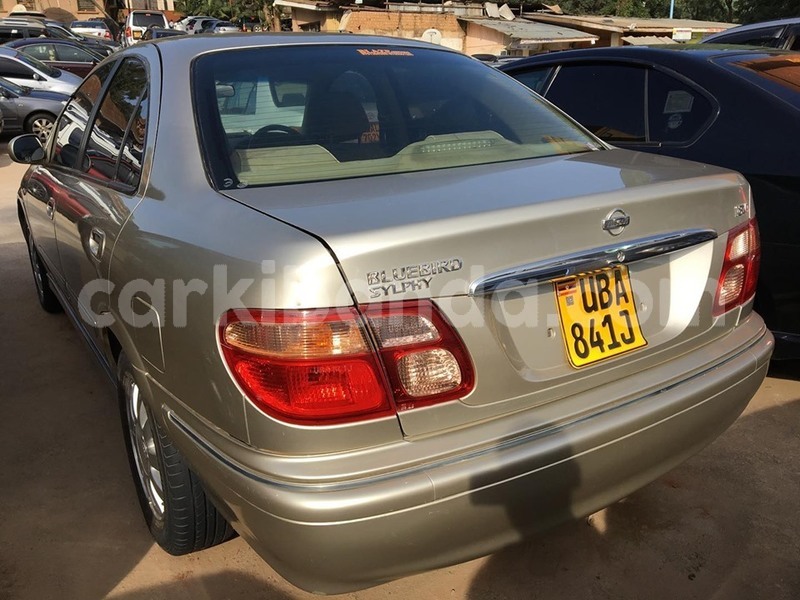 Big with watermark 70789563 1420285578119510 1796850884550852608 n