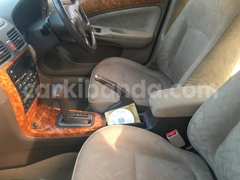 Big with watermark 70237076 1420285361452865 5604148859115667456 n