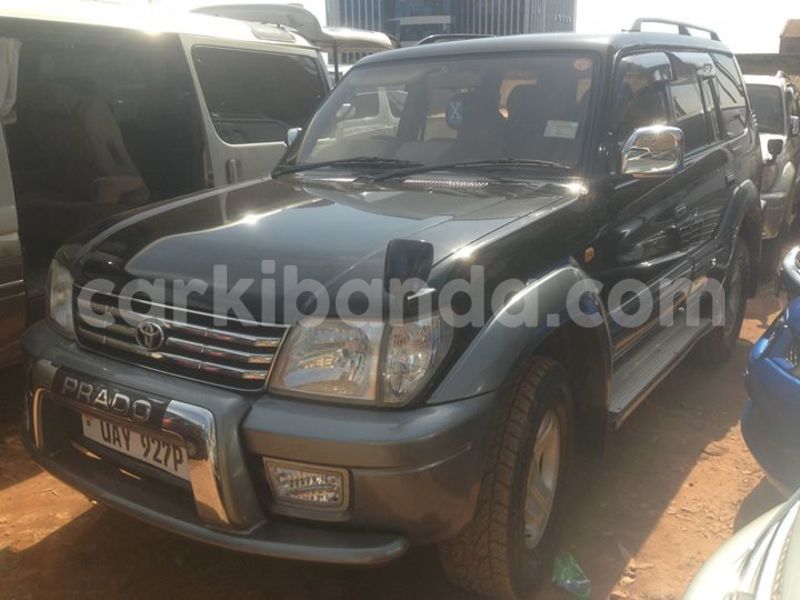 Big with watermark 14572839 1276538899057194 7605807282165903254 n