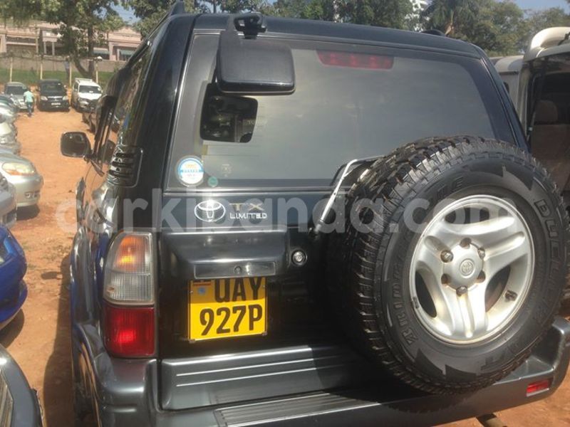 Big with watermark 14695326 1276538865723864 3907257530309395993 n