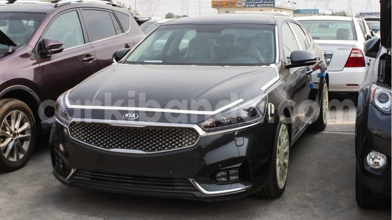 Big with watermark kia cadenza uganda import dubai 7902