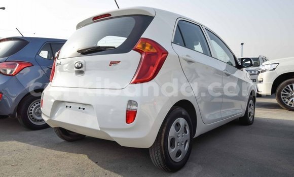 Buy Import Kia Picanto White Car in Import - Dubai in Uganda Buy Import Kia Picanto White Car in Import - Dubai in Uganda