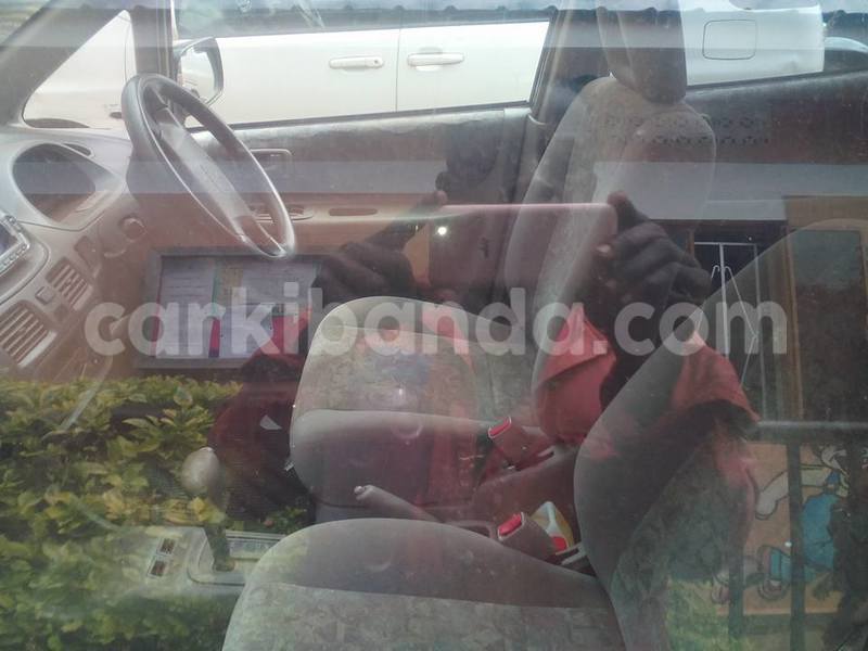 Big with watermark 14695326 1276538865723864 3907257530309395993 n