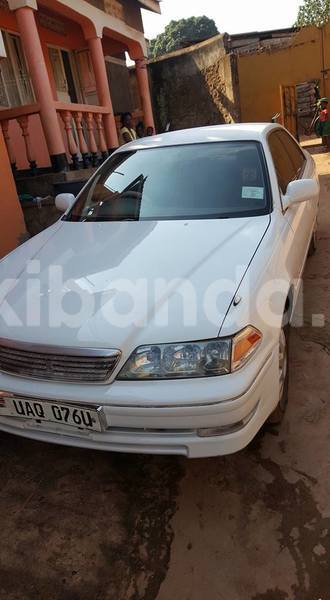 Big with watermark 14695326 1276538865723864 3907257530309395993 n