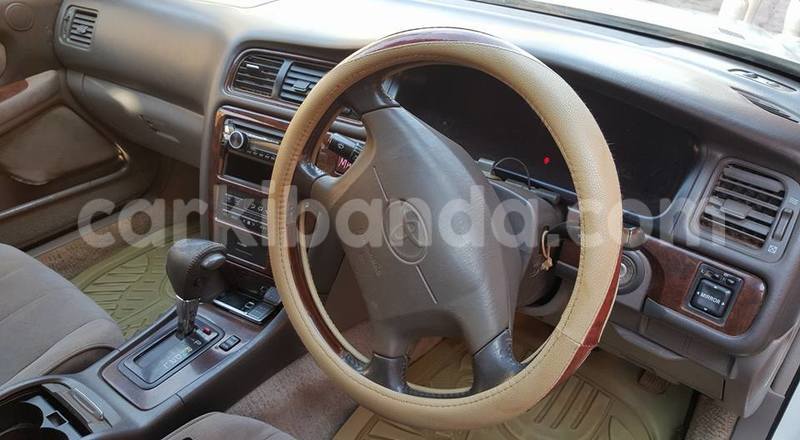 Big with watermark 14937420 10210899464142563 5142262507148257599 n