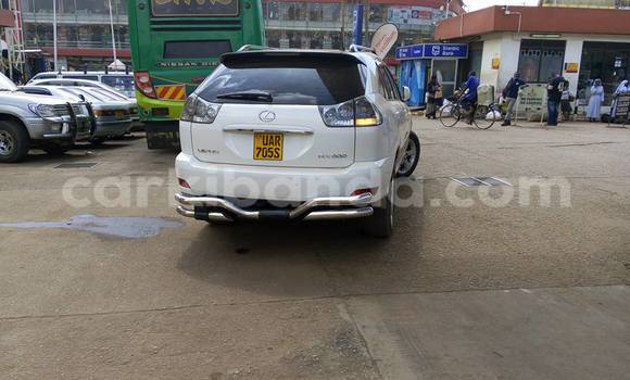 Buy Used Lexus RX 300 White Car in Kampala in Uganda