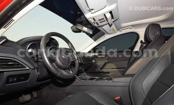 Nunua Imported Jaguar XE Nyekundu Gari ndani ya Import - Dubai nchini Uganda Nunua Imported Jaguar XE Nyekundu Gari ndani ya Import - Dubai nchini Uganda