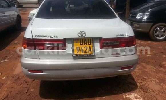 Buy Used Toyota Premio White Car in Kampala in Uganda Buy Used Toyota Premio White Car in Kampala in Uganda