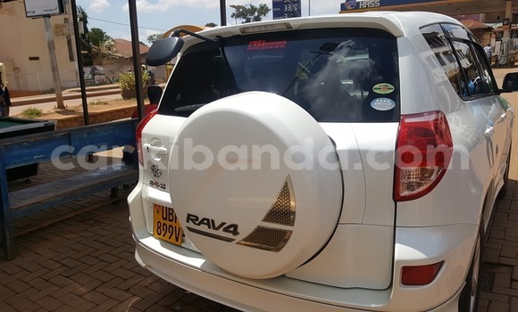 Acheter Occasion Voiture Toyota RAV4 Blanc à Kampala, Ouganda Acheter Occasion Voiture Toyota RAV4 Blanc à Kampala, Ouganda