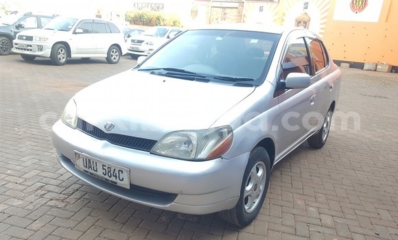 Acheter Occasion Voiture Toyota Platz Gris à Kampala, Ouganda Acheter Occasion Voiture Toyota Platz Gris à Kampala, Ouganda
