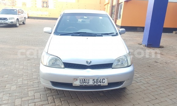 Acheter Occasion Voiture Toyota Platz Gris à Kampala, Ouganda Acheter Occasion Voiture Toyota Platz Gris à Kampala, Ouganda