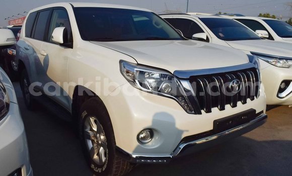 Gura Imported Toyota Prado White Imodoka i Import - Dubai mu Uganda Gura Imported Toyota Prado White Imodoka i Import - Dubai mu Uganda