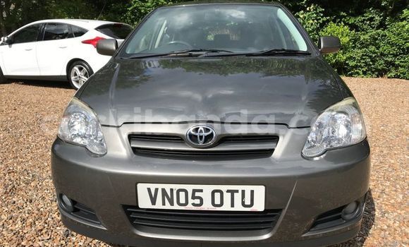 Buy Used Toyota Corolla Other Car in Kampala in Uganda Buy Used Toyota Corolla Other Car in Kampala in Uganda
