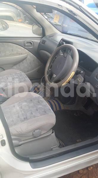 Big with watermark 14695326 1276538865723864 3907257530309395993 n