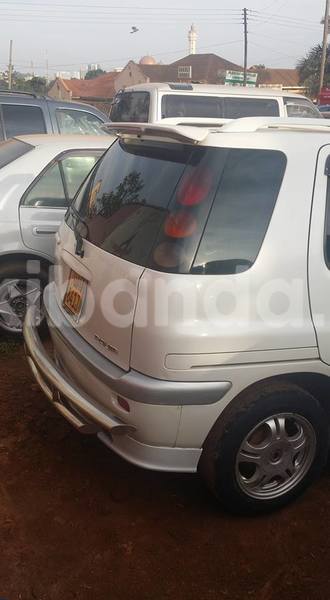 Big with watermark 14937420 10210899464142563 5142262507148257599 n