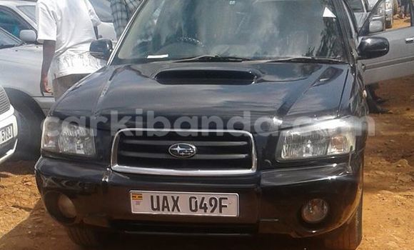 Gura Yakoze Subaru Forester Black Imodoka i Kampala mu Uganda Gura Yakoze Subaru Forester Black Imodoka i Kampala mu Uganda