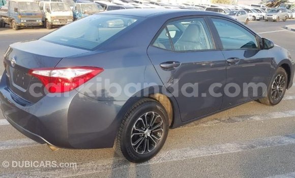Buy Import Toyota Corolla Other Car in Import - Dubai in Uganda Buy Import Toyota Corolla Other Car in Import - Dubai in Uganda
