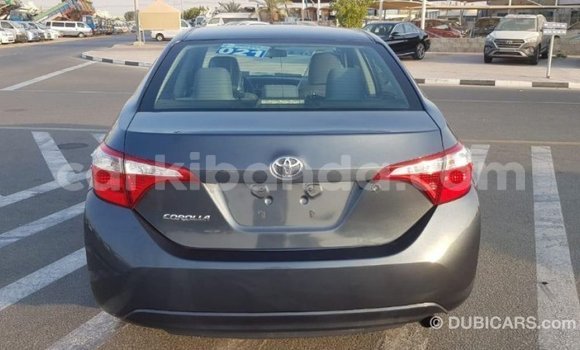 Buy Import Toyota Corolla Other Car in Import - Dubai in Uganda Buy Import Toyota Corolla Other Car in Import - Dubai in Uganda