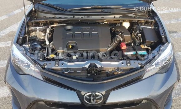 Buy Import Toyota Corolla Other Car in Import - Dubai in Uganda Buy Import Toyota Corolla Other Car in Import - Dubai in Uganda
