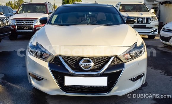 Nunua Imported Nissan Maxima Nyeupe Gari ndani ya Import - Dubai nchini Uganda Nunua Imported Nissan Maxima Nyeupe Gari ndani ya Import - Dubai nchini Uganda