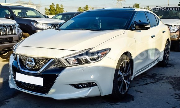 Nunua Imported Nissan Maxima Nyeupe Gari ndani ya Import - Dubai nchini Uganda Nunua Imported Nissan Maxima Nyeupe Gari ndani ya Import - Dubai nchini Uganda