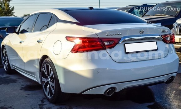 Nunua Imported Nissan Maxima Nyeupe Gari ndani ya Import - Dubai nchini Uganda Nunua Imported Nissan Maxima Nyeupe Gari ndani ya Import - Dubai nchini Uganda