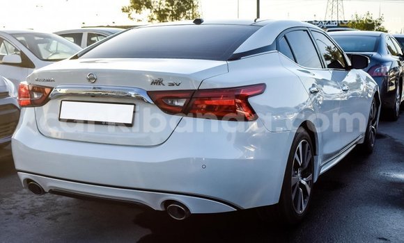 Nunua Imported Nissan Maxima Nyeupe Gari ndani ya Import - Dubai nchini Uganda Nunua Imported Nissan Maxima Nyeupe Gari ndani ya Import - Dubai nchini Uganda