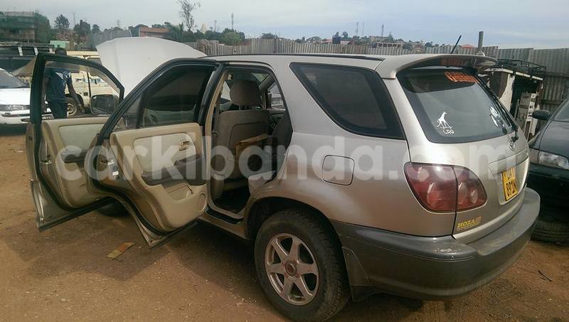 Big with watermark 14937420 10210899464142563 5142262507148257599 n