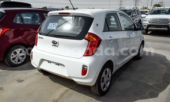 Gura Imported Kia Picanto White Imodoka i Import - Dubai mu Uganda Gura Imported Kia Picanto White Imodoka i Import - Dubai mu Uganda