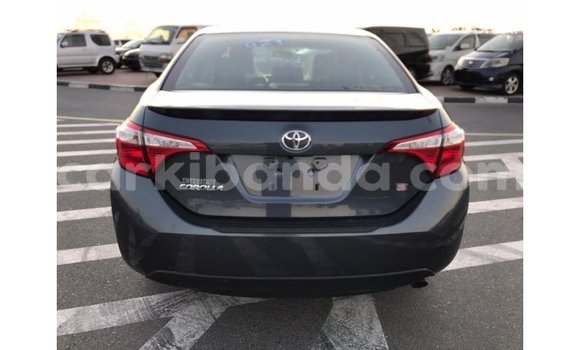 Buy Import Toyota Corolla Other Car in Import - Dubai in Uganda Buy Import Toyota Corolla Other Car in Import - Dubai in Uganda